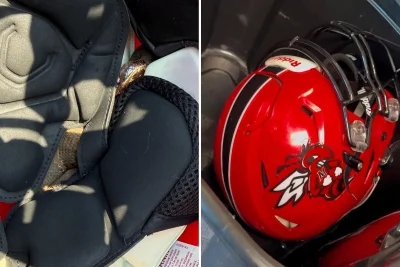 Venomous Snake Football Helmet Arkansas: What We Know About the Practice Shock