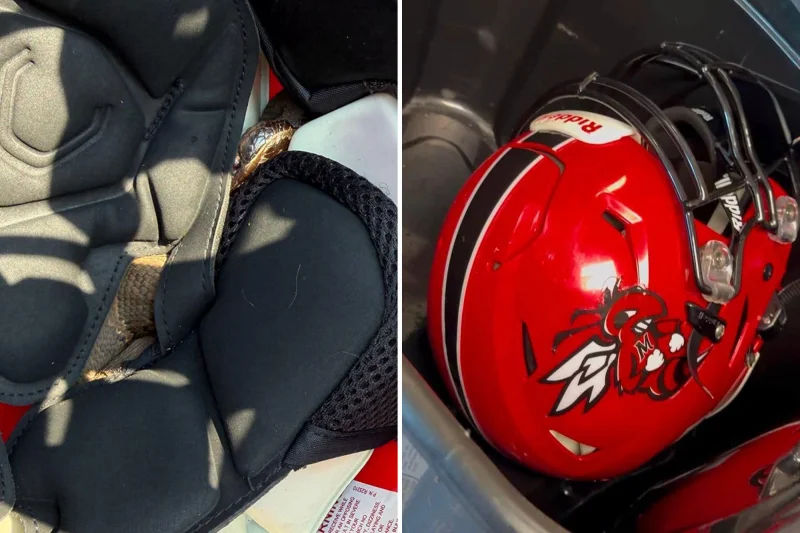 Venomous Snake Football Helmet Arkansas: What We Know About the Practice Shock