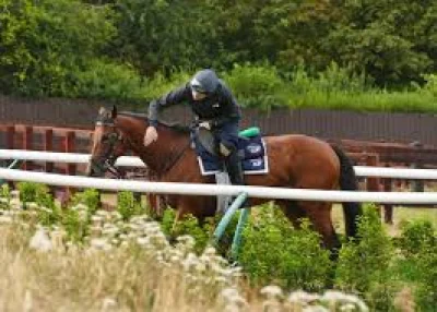 Bow Echo retires after training injury ends unbeaten Group 1 career