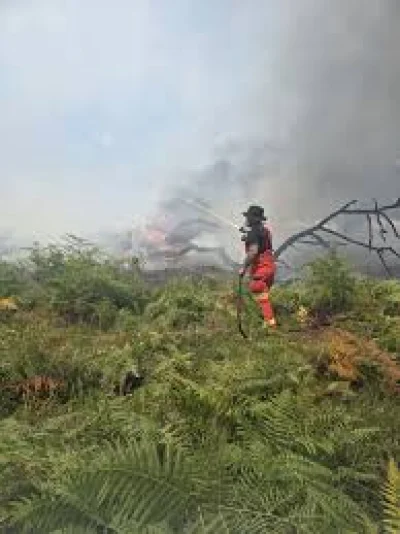 Hampshire A31 Van Blaze Leaves New Forest Fire Burning for Days