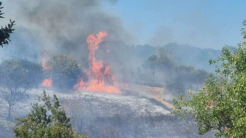 Devon and Somerset Fire and Rescue Service tackles 20 engines at Mincinglake Valley Park