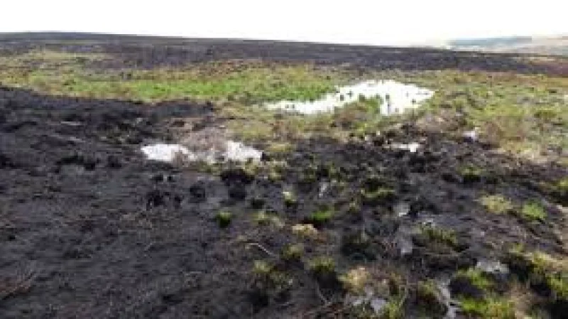 Natural England warns Whitehall over 240 wildfire SSSIs