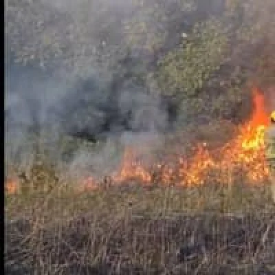 South Yorkshire Police launch Sheffield Weather arson probe after two houses damaged