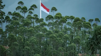 EMSC Raises Indonesia Earthquake to 7.7 After Tsunami Warning