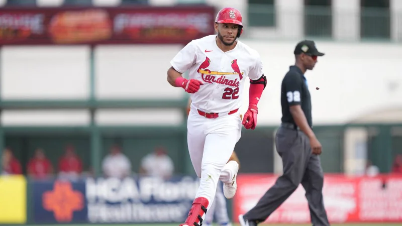 Joshua Báez called up by St. Louis Cardinals after 34 HR, 90 RBI minor league season