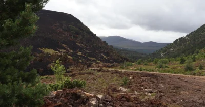 RSPB addresses four-week Cairngorms Wildfire Warning criticism
