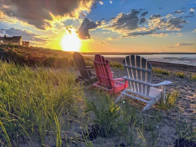 54th ASICS Falmouth Road Race field includes 11 Olympians and Paralympians — Falmouth Road Race