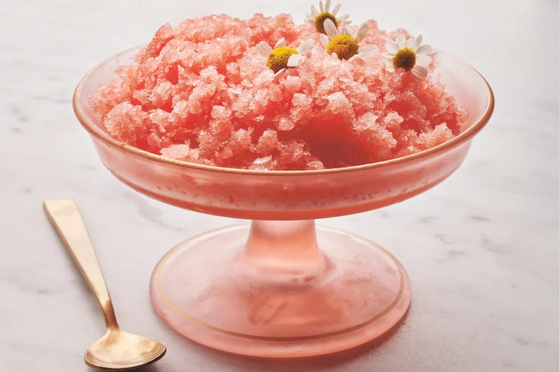Pamela Anderson Serves Watermelon Granita With 3 Ingredients