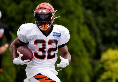 Trayveon Williams signed by the Detroit Lions as injuries hit the backfield — Lions Sign Veteran Running Back