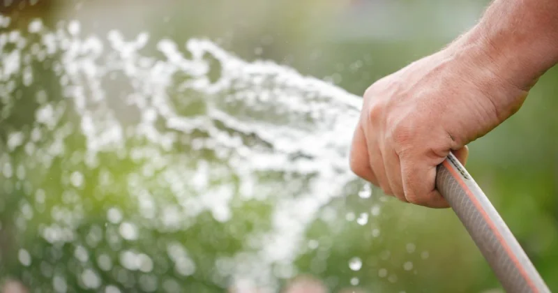 Dorchester Town Council urges cuts as Wessex Water Hosepipe Ban looms