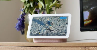 Google Nest Hub Outage Hits Worldwide Google Home and Nest Users