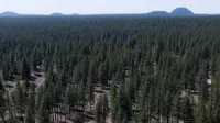 Brooke Rollins rolls back Trump Administration National Forest Policy on 4M acres