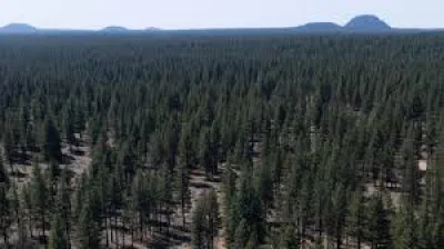 Brooke Rollins rolls back Trump Administration National Forest Policy on 4M acres