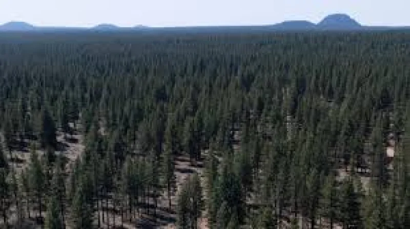 Brooke Rollins rolls back Trump Administration National Forest Policy on 4M acres