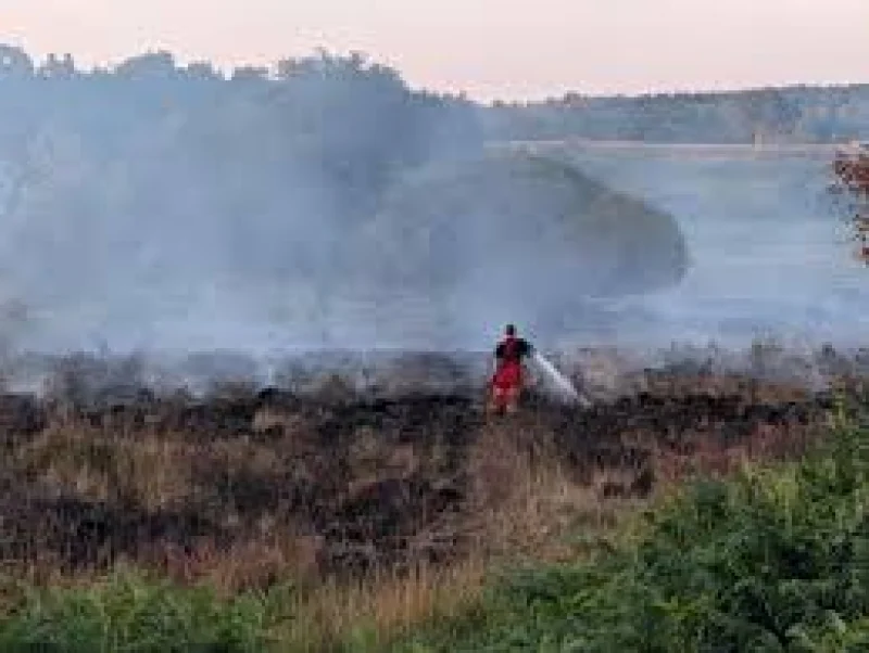 Sam Describes A31 Reopening Delay After New Forest wildfire
