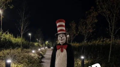 Wexford Gardaí say AI Cat in the Hat sightings in Curracloe were fake — Cat In The Hat News