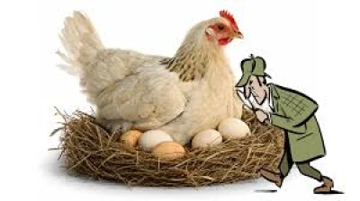 Ian Young warns vulnerable groups on Eggs in UK outbreak