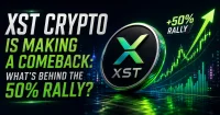 Xst Stock Rallies 50% as Crypto Momentum Returns