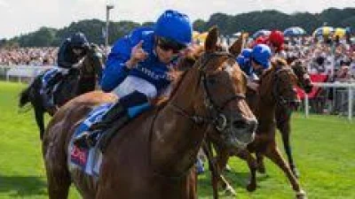 Willie Mullins seeks a fourth Ebor win with Love Me Tender — Horse Racing Results Today