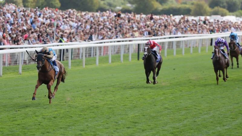 Archivist wins by seven and a half lengths in the Sky Bet Strensall Stakes — Racing Post Results
