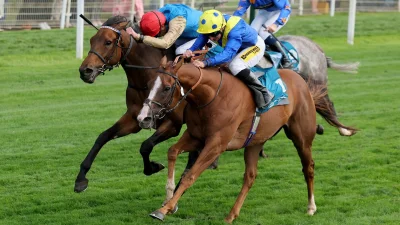 Friday 21st August 2026 York trends for the Nunthorpe Stakes and Lonsdale Cup — Today's Horse Racing Results