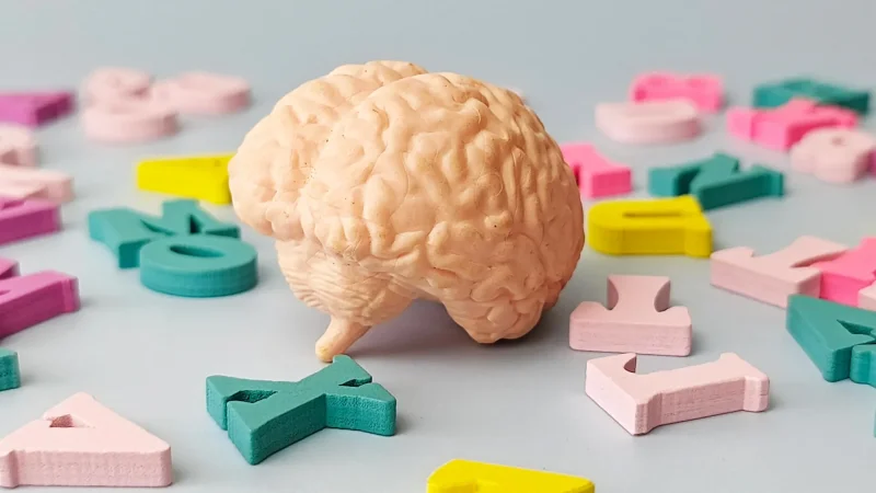 Dr. Lucia Amoruso links Language Learning to 13-year younger brains
