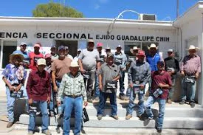Suspenden en Samalayuca dispersión de mosca estéril en Chihuahua