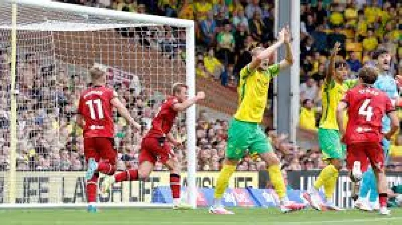Aune Heggebo's two-match deception ban exposes a messy rule — James Morrison Footballer backs West Brom forward as FA opens a can of worms