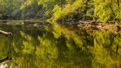 Dr. Zack Moore cites North Carolina teen's rare PAM case — Brain-eating Amoeba North Carolina