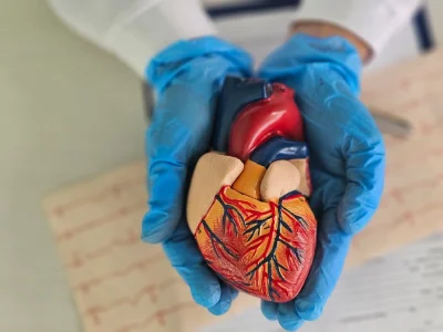 Dr Marco Witkowski Links Xylitol to 57% Higher Risk — Artificial Sweetener Cardiovascular Effects Research