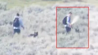 Ignazio Zanin Uses Bear Spray Twice in Yellowstone Wolf Encounter — Yellowstone Wolf Approaching Hiker Video