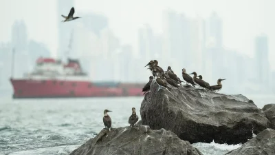 Ben Kirtman Says Super El Niño Leaves Weather in Uncharted Territory