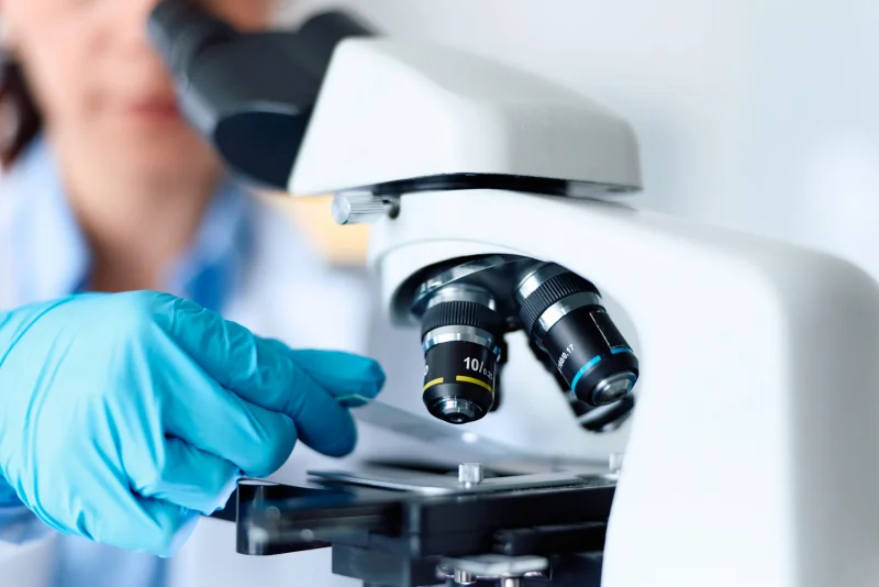 CDC links 17,180 cyclosporiasis cases to lettuce — Is Lettuce Safe To Eat Now?