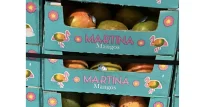 Panorama Produce recalls 302 boxes in Mangoes Recalled over Salmonella risk