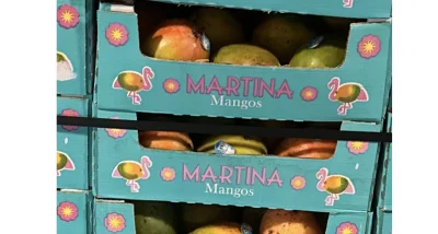 Panorama Produce recalls 302 boxes in Mangoes Recalled over Salmonella risk