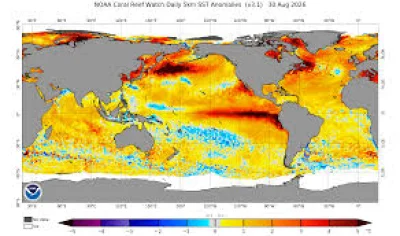 Andrew Leising Says Pacific Marine Heatwave And El Niño Will Raise US Flood Risk