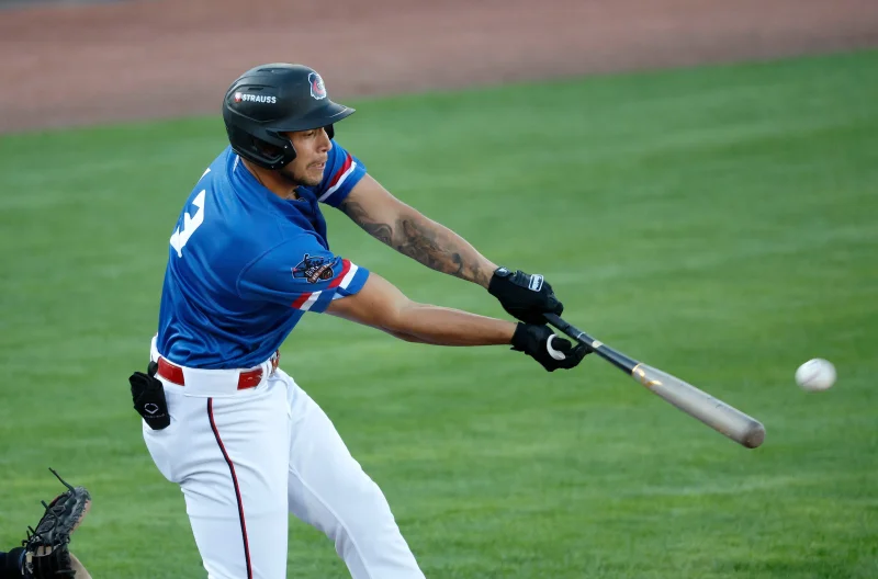 Yohandy Morales Called Up for September Roster Expansion