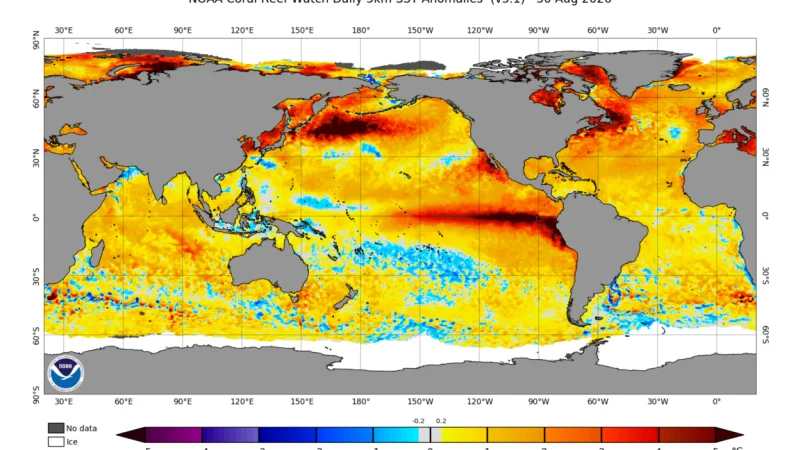 Julie Cole Finds 36.5% Higher El Niño Variability in Galápagos Corals — Exceptional El Niño Weather Pattern