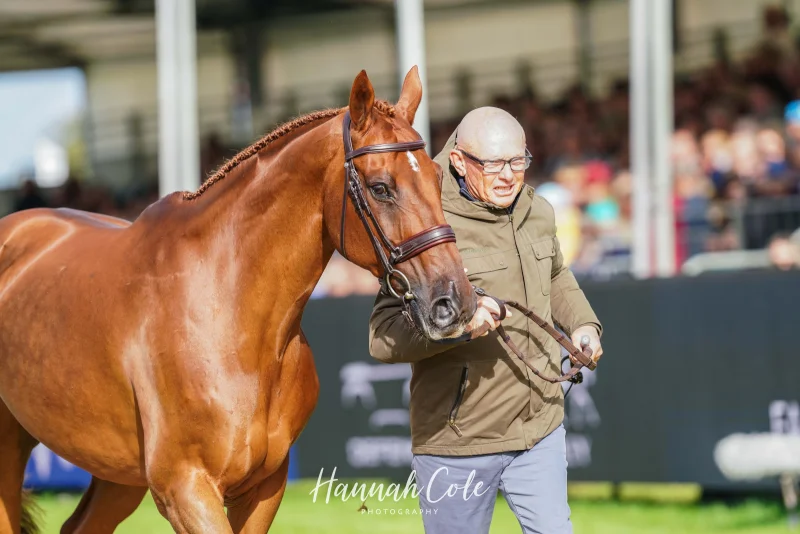 Two-ride Burghley return for David Doel — the podium push is back on