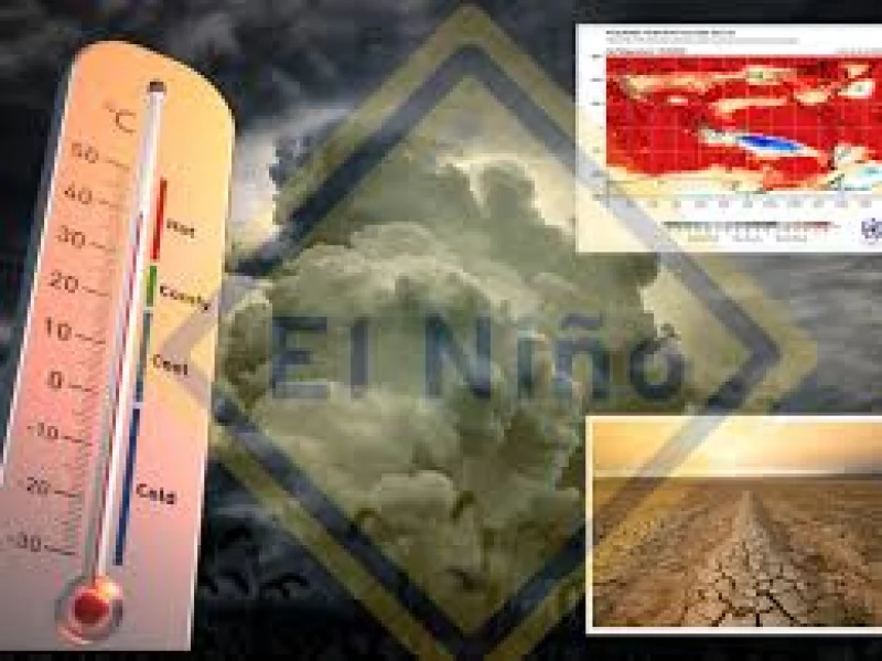 Angela Eagle Urges UK Preparations as What Is El Niño Looms