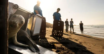 Dave Bader warns El Niño California Sea Levels may hit Southern California