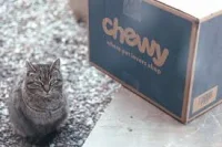 Chewy Falls 11% on $89.5 Million Free Cash Flow Miss