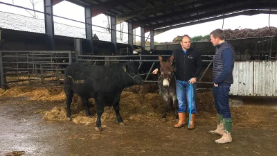 124-cap Rory Best returns to the family farm after retiring in 2019
