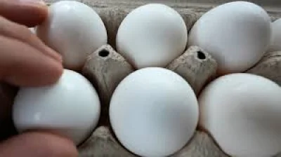 Texas Attorney General Ken Paxton announces 7 million eggs for Texas food banks