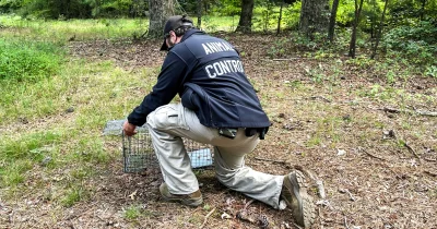 CDC Issues Rabies Alert After 17% Rise in Inquiries
