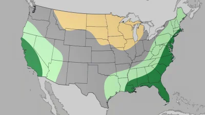 El Niño Winter Weather Impacts: The Weather Company sees snowy 2026-27