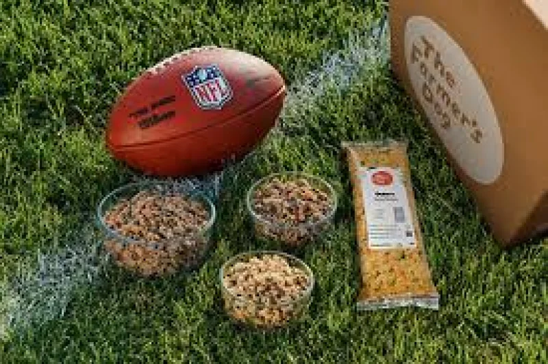 NFL's first-ever Official Pet Food Partner deal gives The Farmer's Dog a major league stage — Tax Rebate