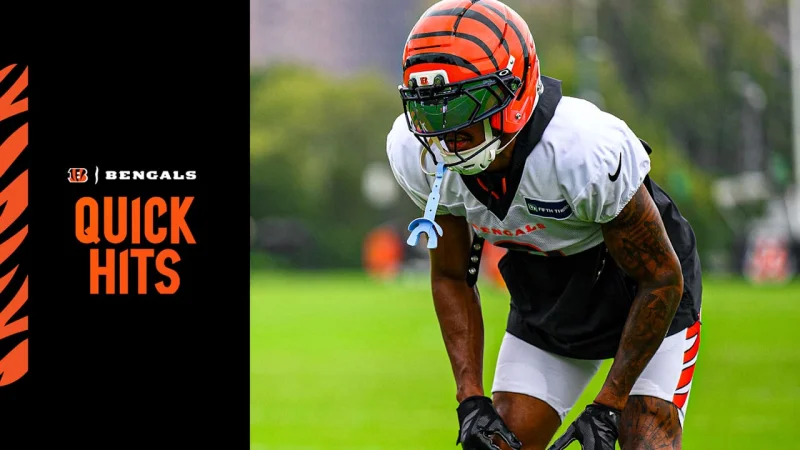 Marvin Lewis calls Bengals the 2026 North favorites — Afc North judgement carries real weight before Sunday's opener
