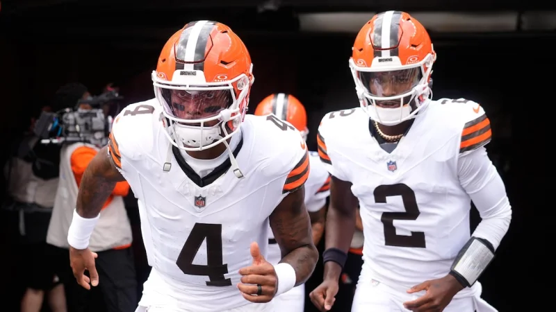 Rex Ryan says he would have cut Deshaun Watson — Rex Ryan On Cleveland Browns Quarterback