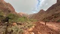 National Park Service Grand Canyon Discovery Finds Remains Near Crystal Rapid